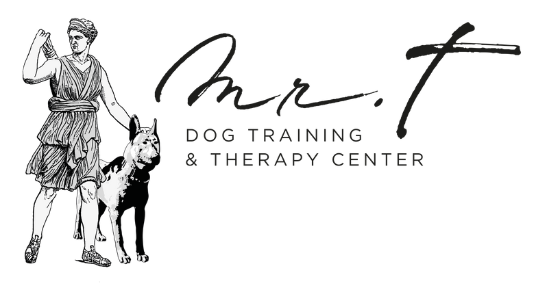 Logo - Mr. T | dog training & therapy center